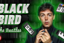 Photo of Blackbird» by The Beatles